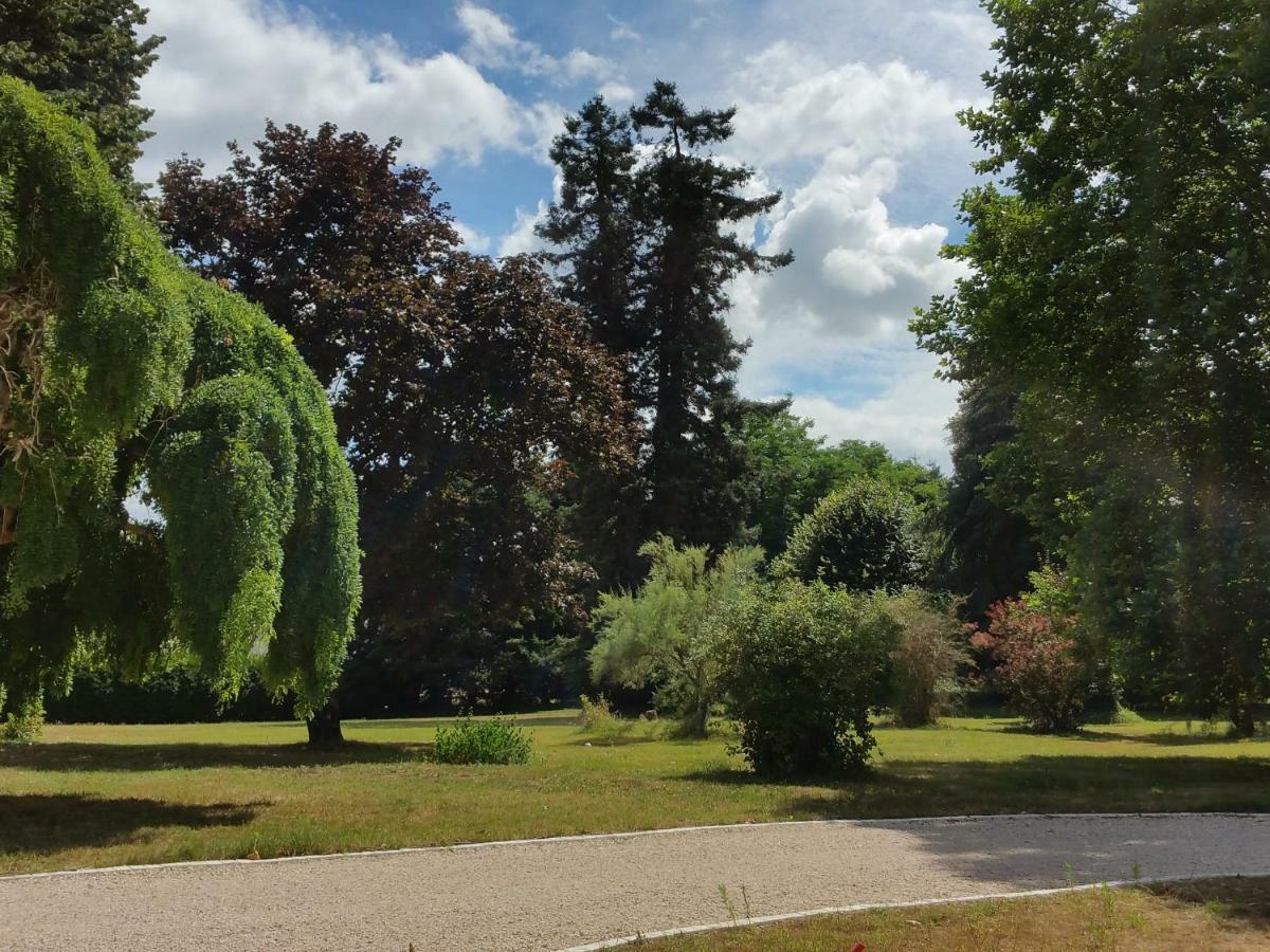 Au Cocon De Sologne Hotel Soings-en-Sologne ภายนอก รูปภาพ